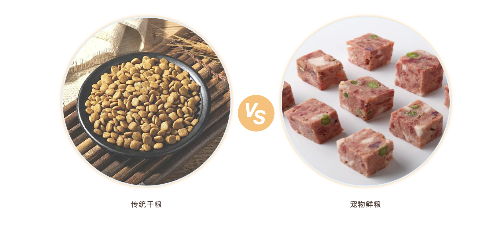 MG不朽情缘(中国区)官方网站